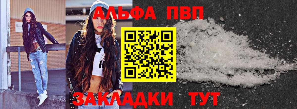 Альфа ПВП СК Камышин