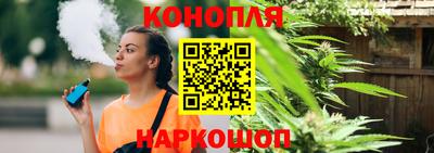 стаф Кулебаки