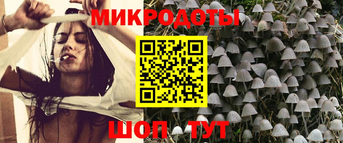 Галлюциногенные грибы Cubensis Камышин