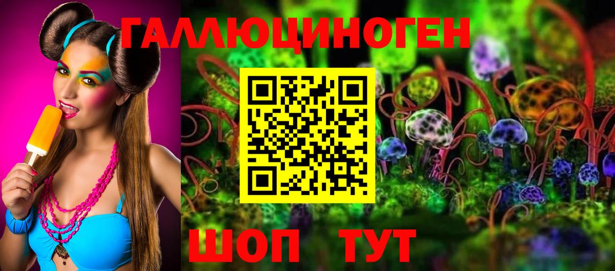 Псилоцибиновые грибы Psilocybe  Вход с VPN  Камышин  Галлюциногенные грибы ЛСД 